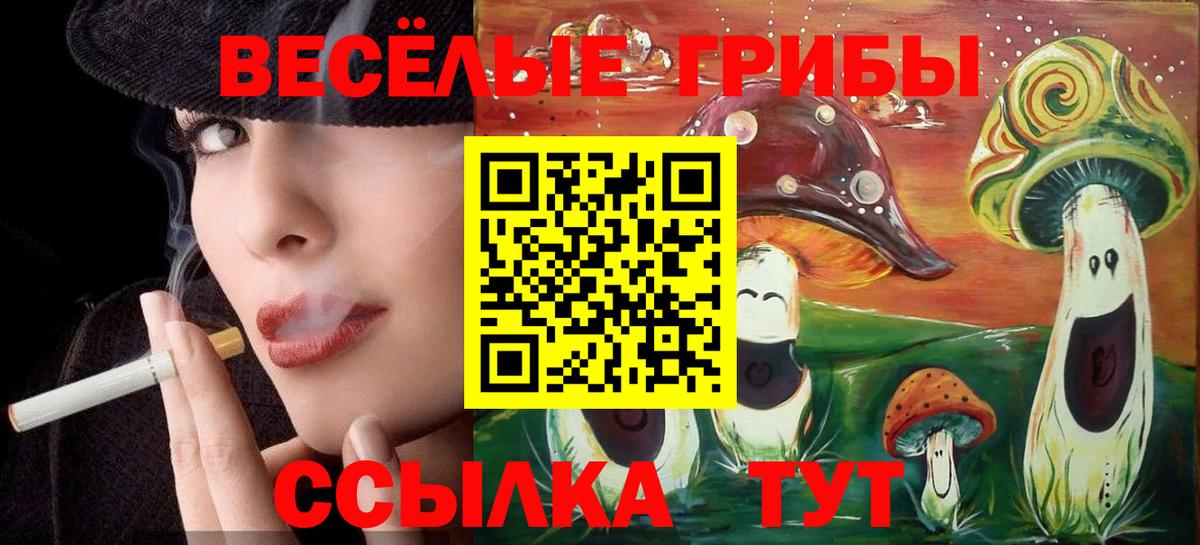 Алейск  Галлюциногенные грибы ЛСД  продажа наркотиков  Вход с VPN 